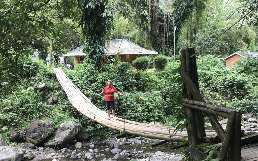 bambusbrücke-richmont-river